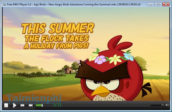 download MKV Player Free