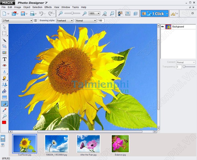 download Magix Photo Designer