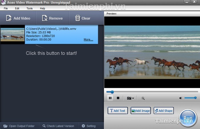 Video Watermark Pro