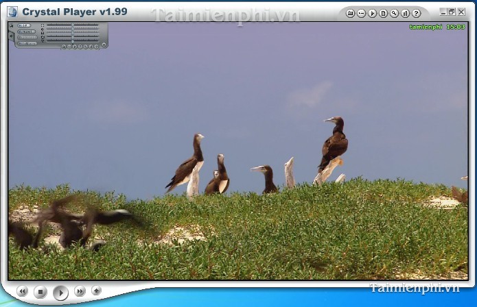 Crystal Player Professional