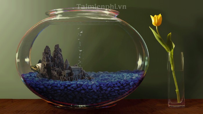 Goldfish Aquarium