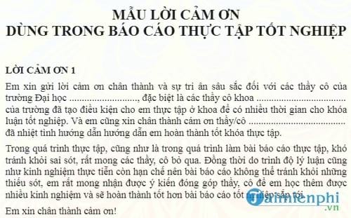 mau loi cam on dung trong bao cao thuc tap tot nghiep