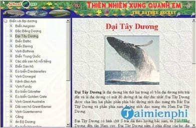 thien nhien xung quanh em