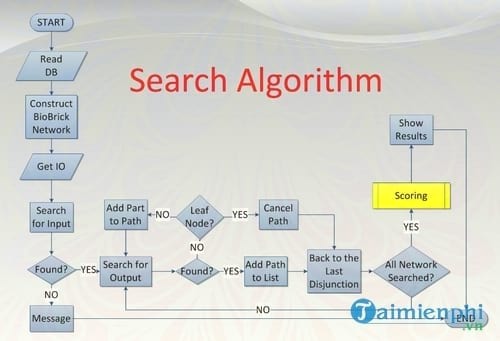 thuat toan algorithms