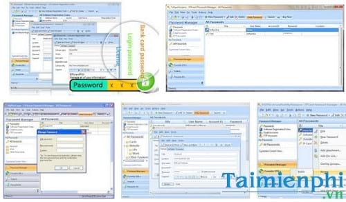 efficient password manager pro