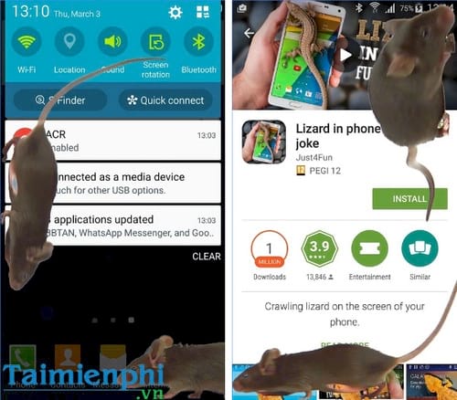 chuot bo tren dien thoai