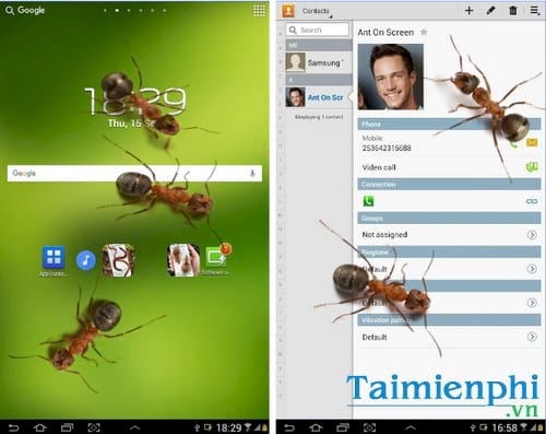 kien bo tren dien thoai