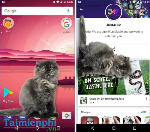 meo bo tren dien thoai