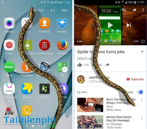 ran bo tren dien thoai