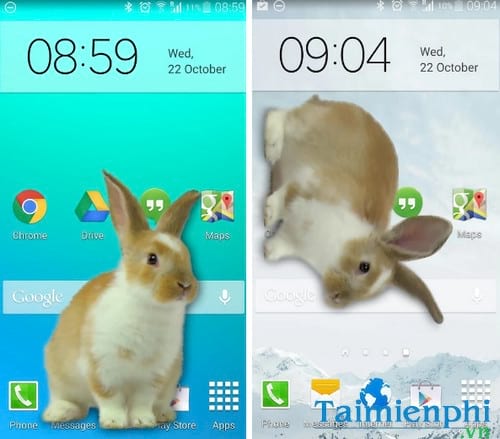 tho bo tren dien thoai