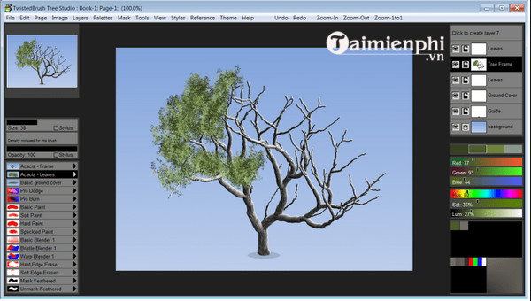 twistedbrush tree studio