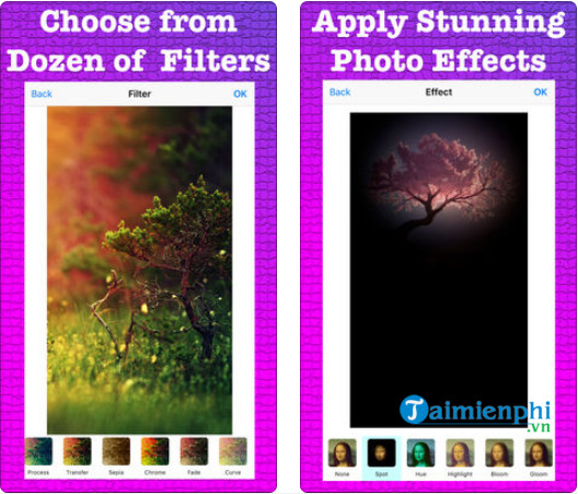 picture perfect all in one