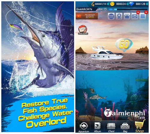 fishing championship