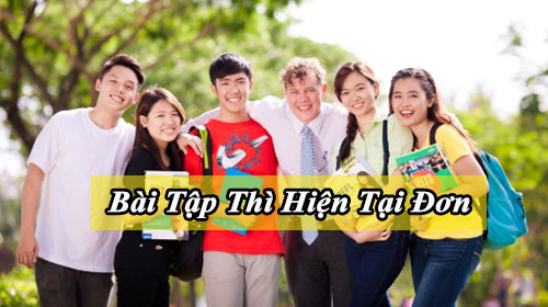 bai tap thi hien tai don