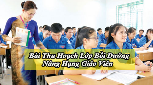 bai thu hoach lop boi duong nang hang giao vien
