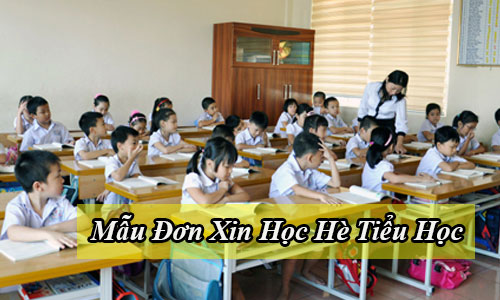 mau don xin hoc he tieu hoc