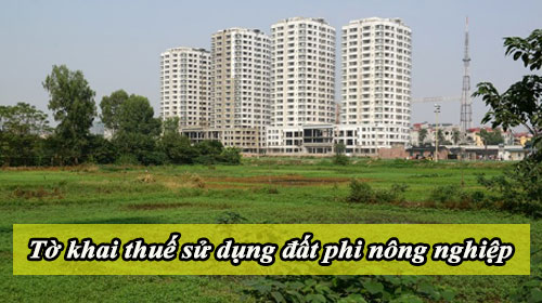 to khai thue su dung dat phi nong nghiep