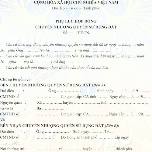 Phụ lục hợp đồng chuyển nhượng quyền sử dụng đất