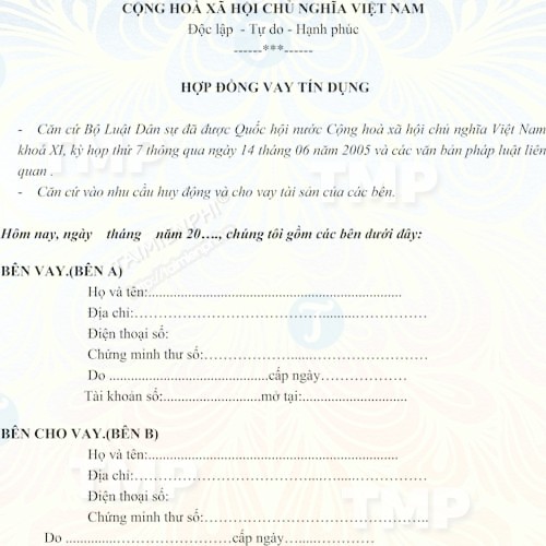Mẫu hợp đồng vay tín dụng