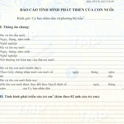 Mẫu báo cáo tình hình phát triển của con nuôi trong nước