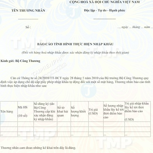 Mẫu báo cáo tình hình thực hiện nhập khẩu
