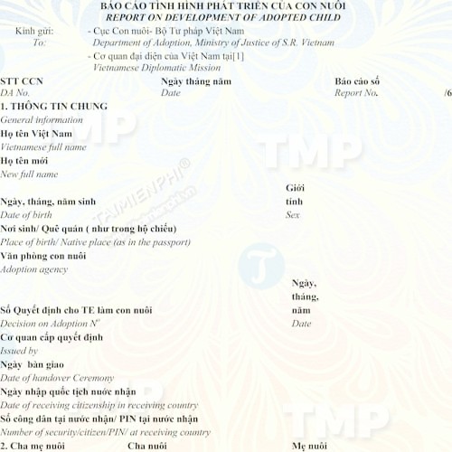 Mẫu báo cáo tình hình phát triển con nuôi nước ngoài