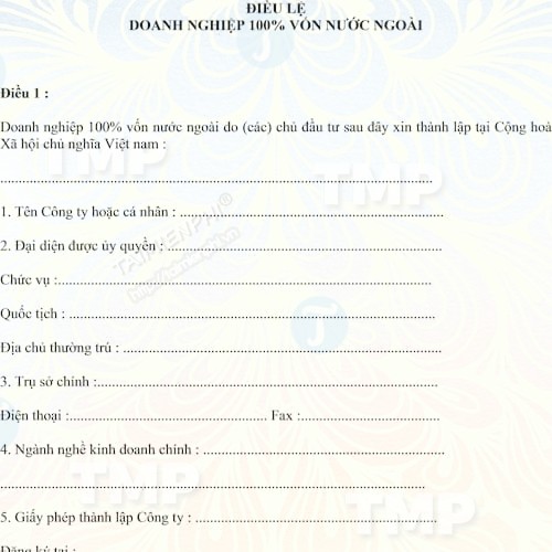 Điều lệ doanh nghiệp 100% vốn nước ngoài