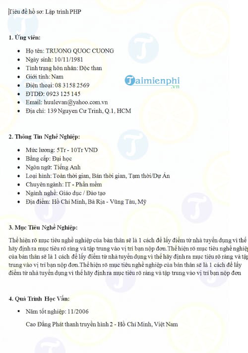 CV ứng viên công nghệ thông tin