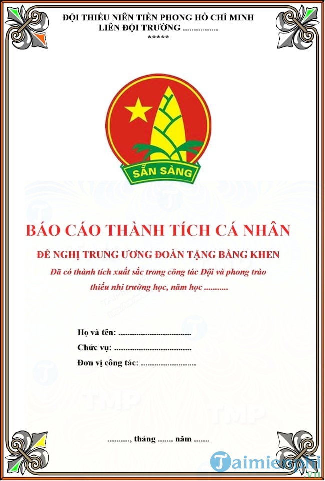 Mẫu báo cáo thành tích của Tổng phụ trách đề nghị tặng bằng khen