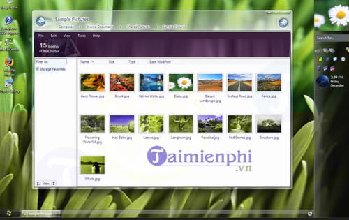 Longhorn Transformation Pack