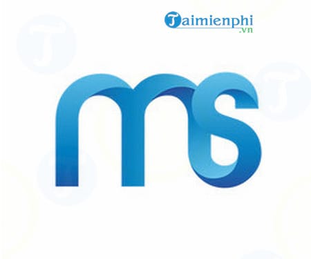 MS LOGO