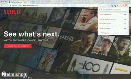 MediaHint for Chrome