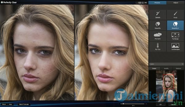 Perfectly Clear Photoshop Plugin