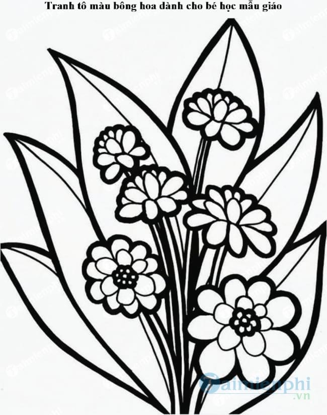 Tranh tô màu bông hoa dành cho bé học mẫu giáo