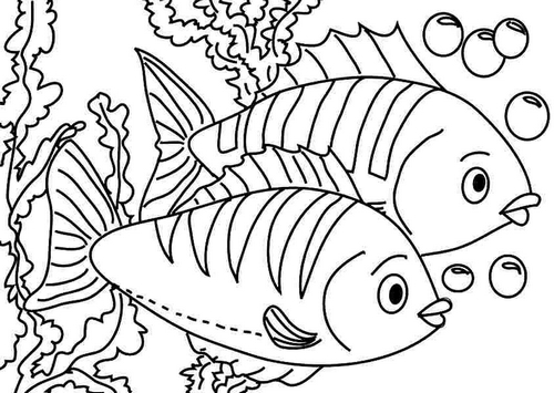 tranh to mau cho be 5 tuoi hinh to mau cho be