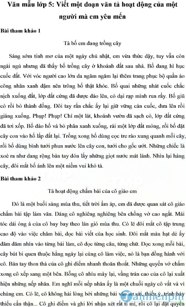 Viết một đoạn văn tả hoạt động của một người mà em yêu mến