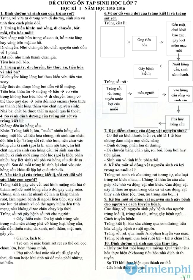 Đề cương ôn tập học kì 1 môn Sinh học lớp 7