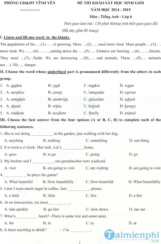 Đề thi học sinh giỏi Tiếng Anh Lớp 6