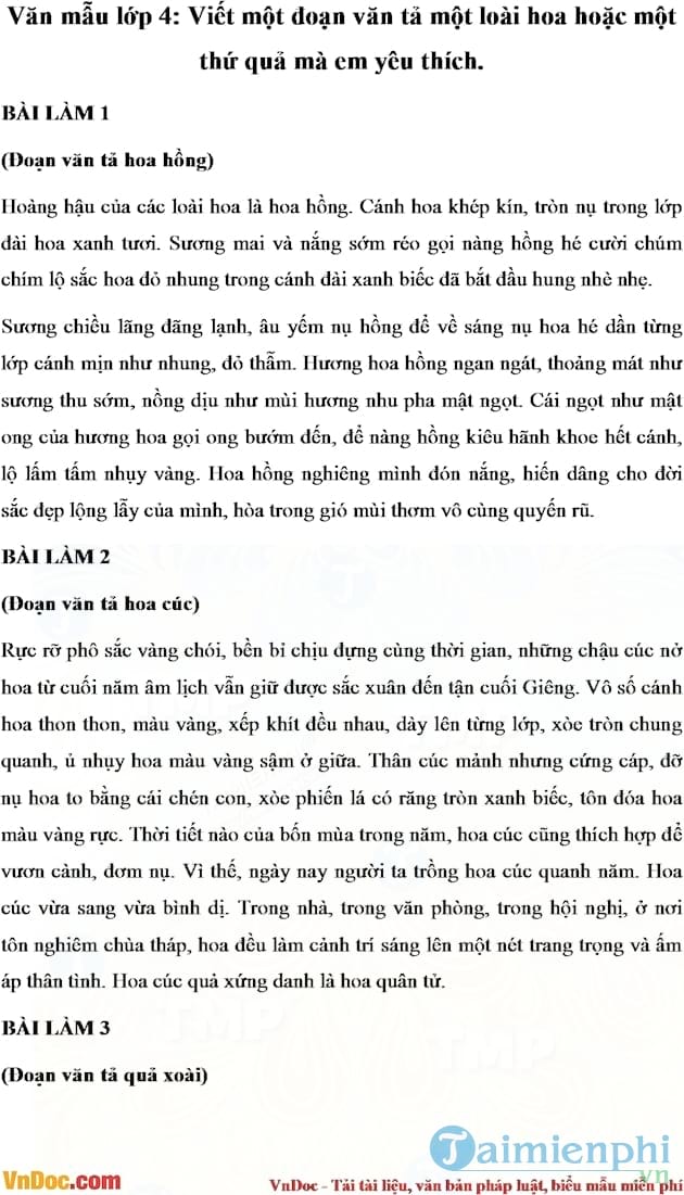 Viết một đoạn văn tả một loài hoa hoặc một thứ quả mà em yêu thích