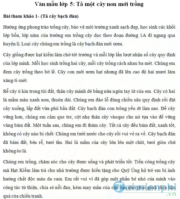 Tả một cây non mới trồng