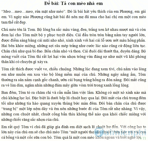 Tả con mèo nhà em