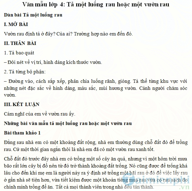 Tả một luống rau hoặc một vườn rau