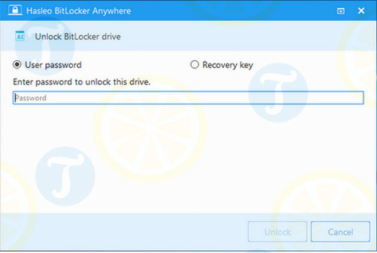 download bitlocker anywhere