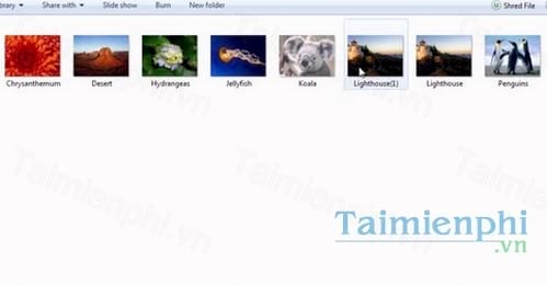 smart free photo resizer