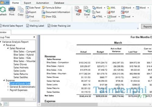 the report viewer 2015