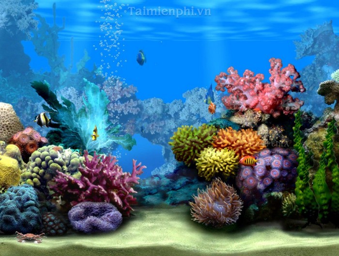 Living Marine Aquarium
