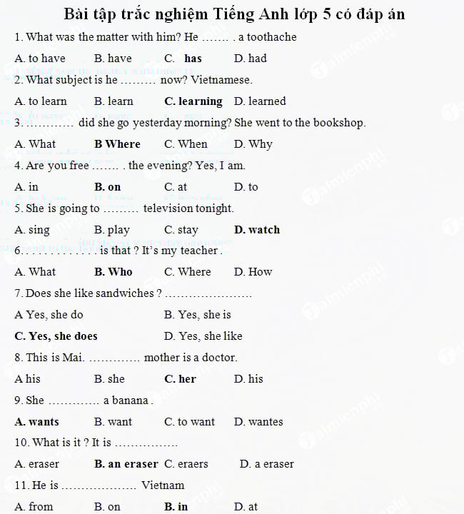 Bài tập trắc nghiệm Tiếng Anh lớp 5 có đáp án