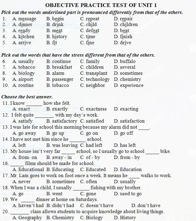 Đề cương ôn thi Tiếng Anh lớp 10 cả năm