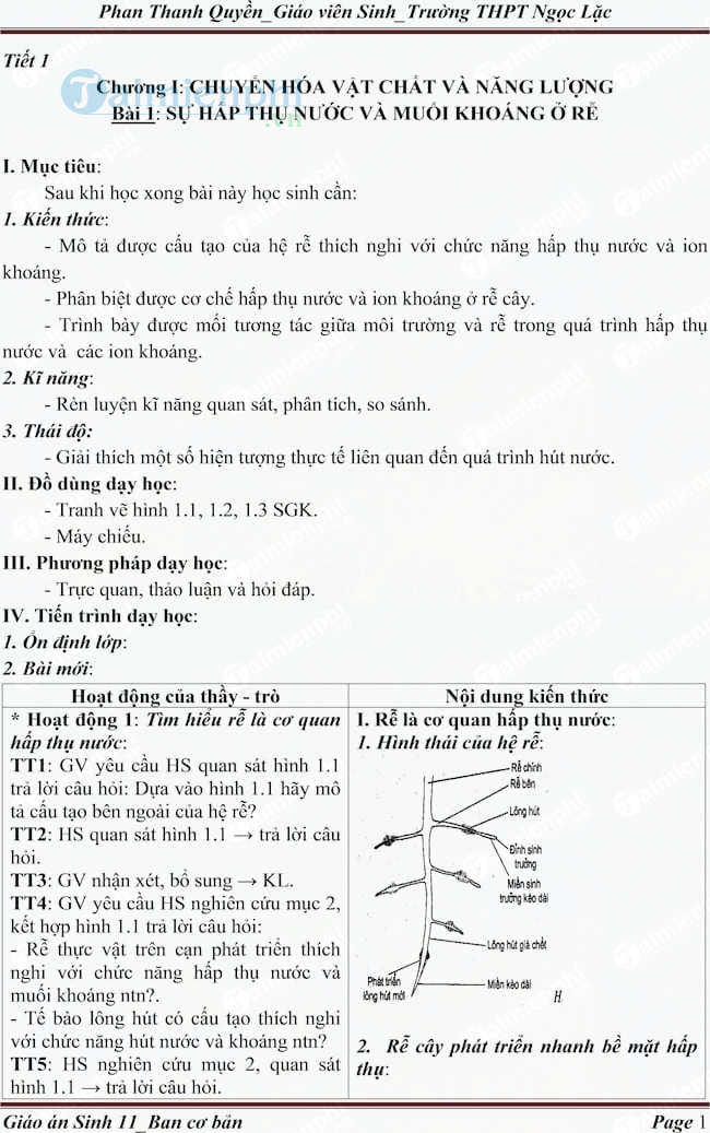 Giáo án Sinh học lớp 11 ban Cơ bản