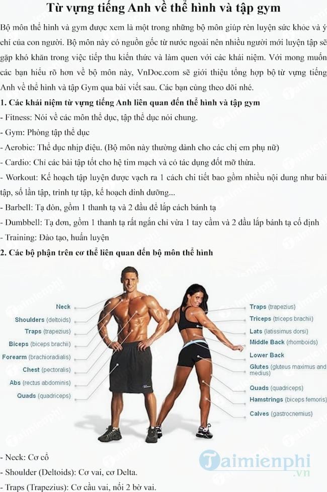 Từ vựng tiếng Anh về thể hình và tập gym